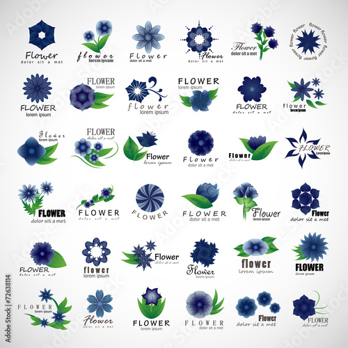 Flowers Set - Isolated On Gray Background