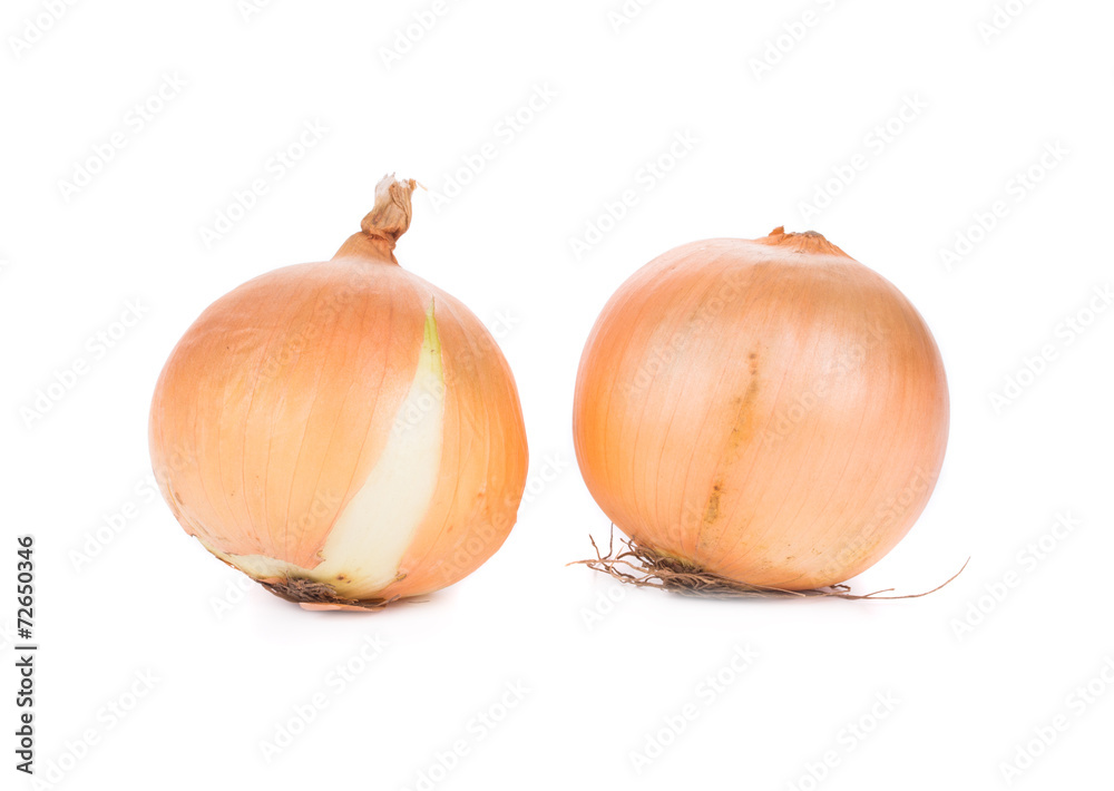 Close up of ripe onions.