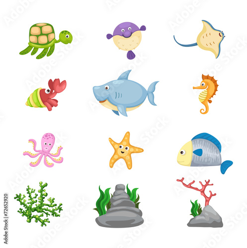 marine life vector