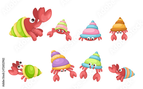 hermit crab vector