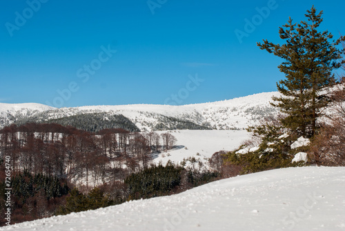 Fantastic winter landscape. Blue sky. Bulgaria Europe. Beauty wo
