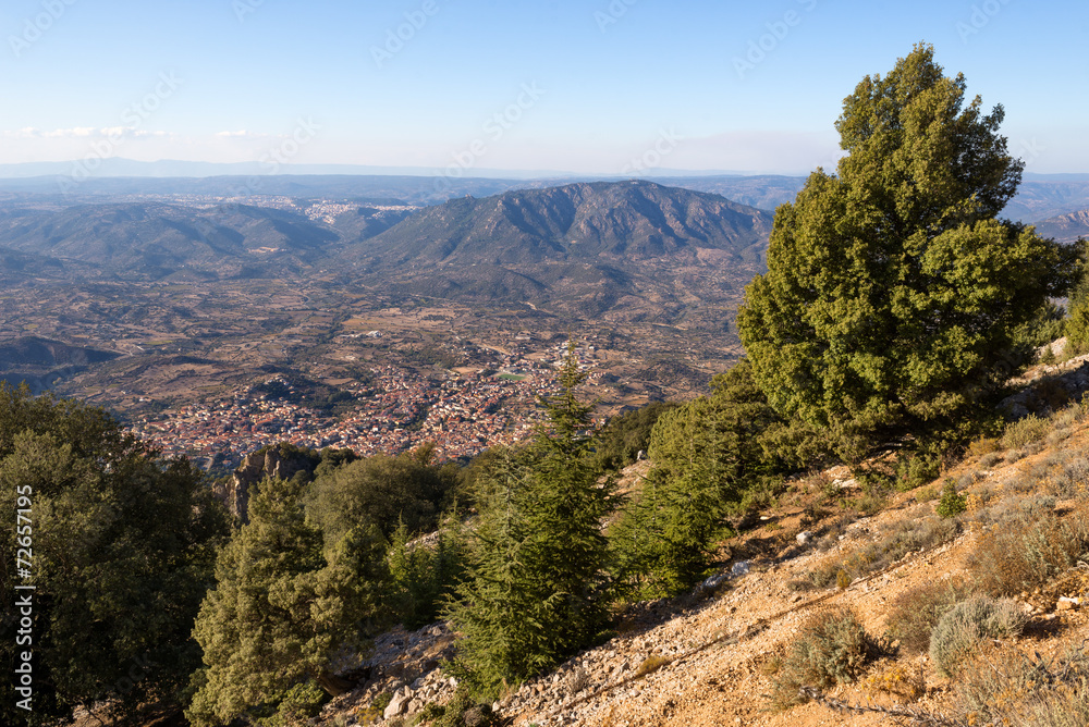 Sardegna, panorama di Oliena dal Monte Corrasi