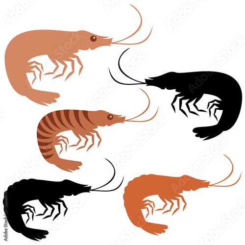 Shrimp