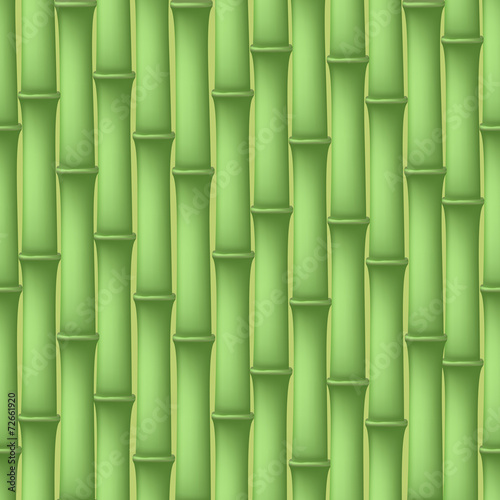 bamboo background