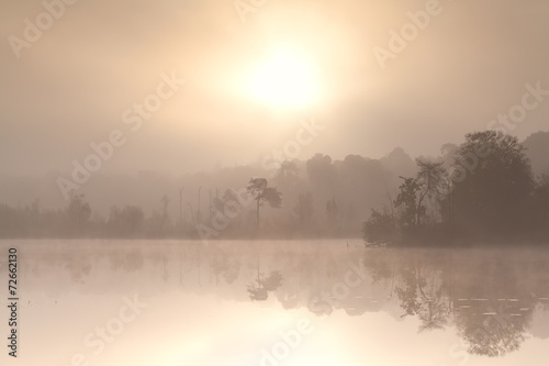 misty autumn sunrise over forest lake