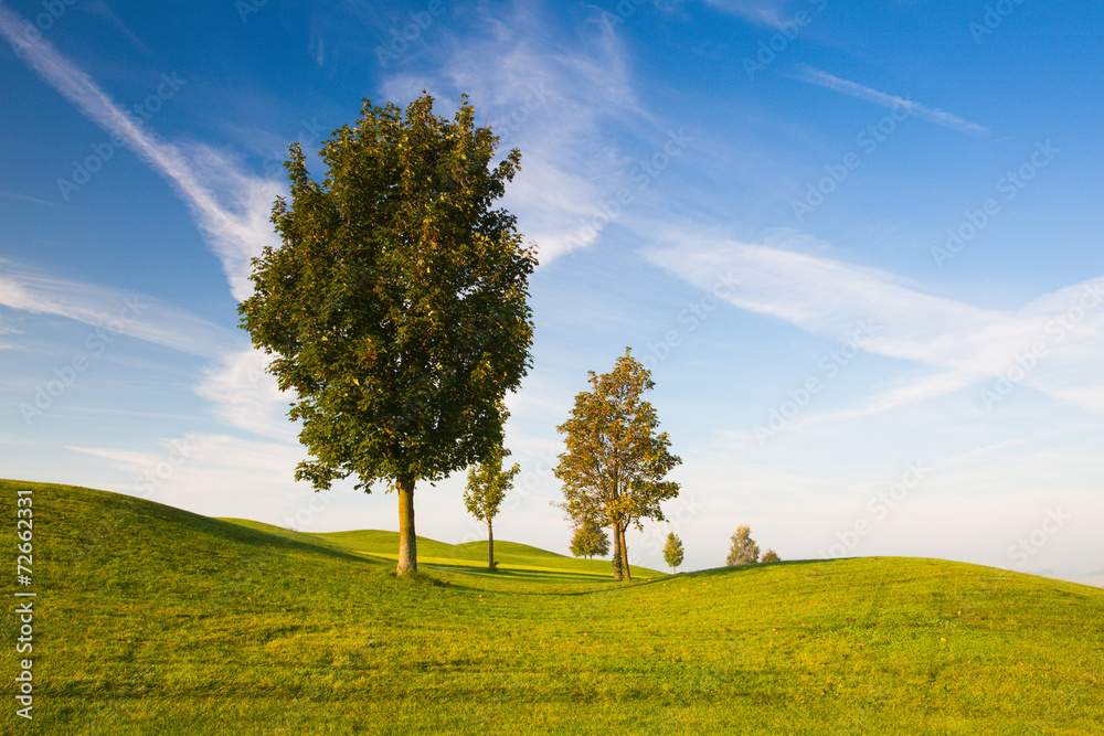 Fototapeta premium Misty morning on a empty golf course