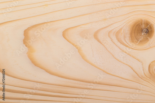 Texture of wood background closeup