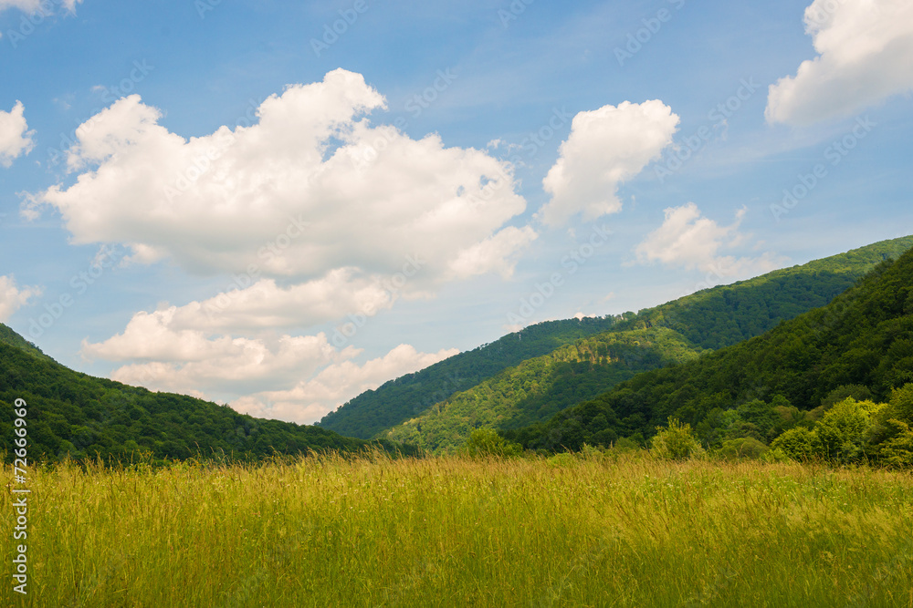 Beautiful scenic view over the Carpathian mountains