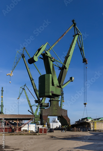 The shipyard cranes