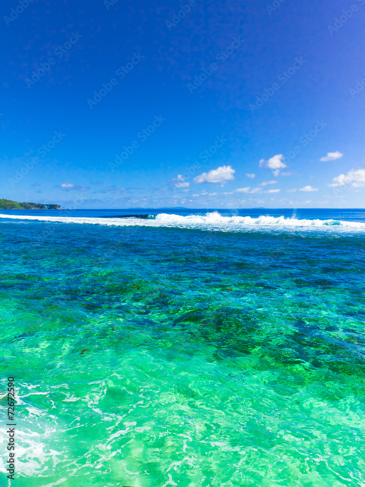 Fototapeta premium Tropical Summer Sea