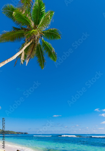 Jungle Tranquility Panorama