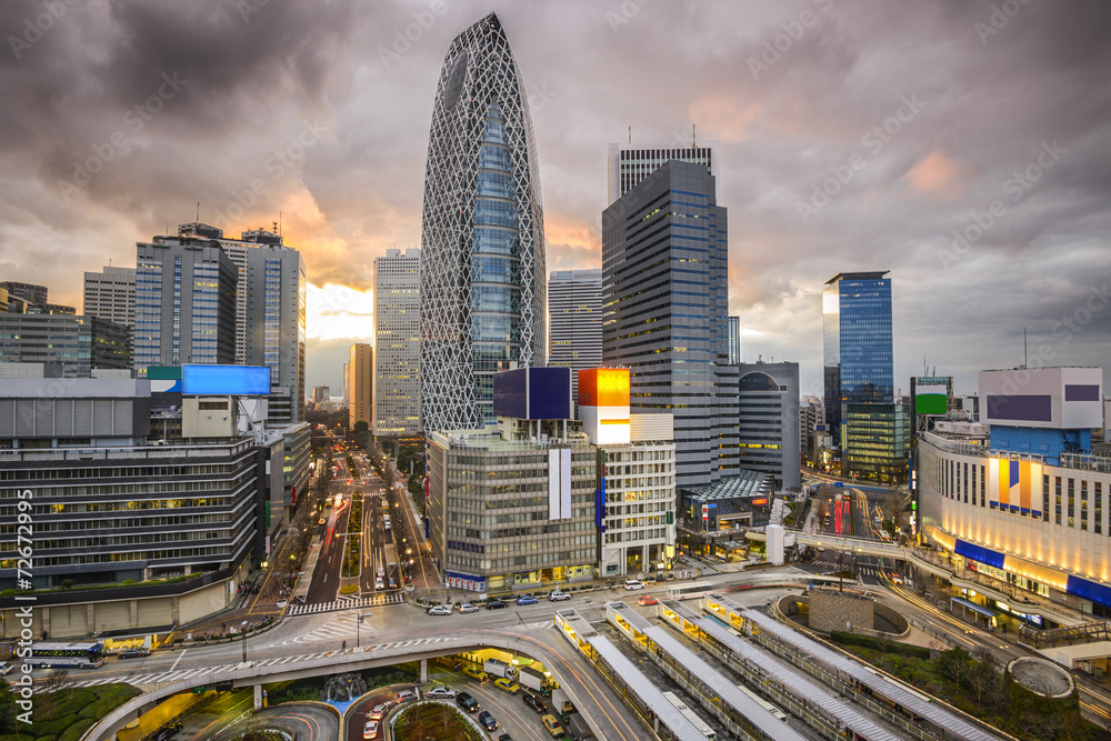 Fototapeta premium Shinjuku, Tokyo, Japan Cityscape