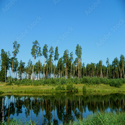 Красота