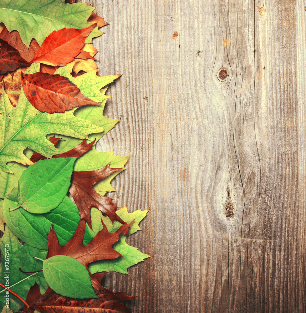 Autumn leaves over wooden background Autumn leaves over wooden background