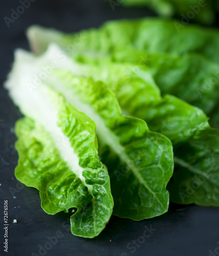 Fresh green Cos lettuce on dark background. photo