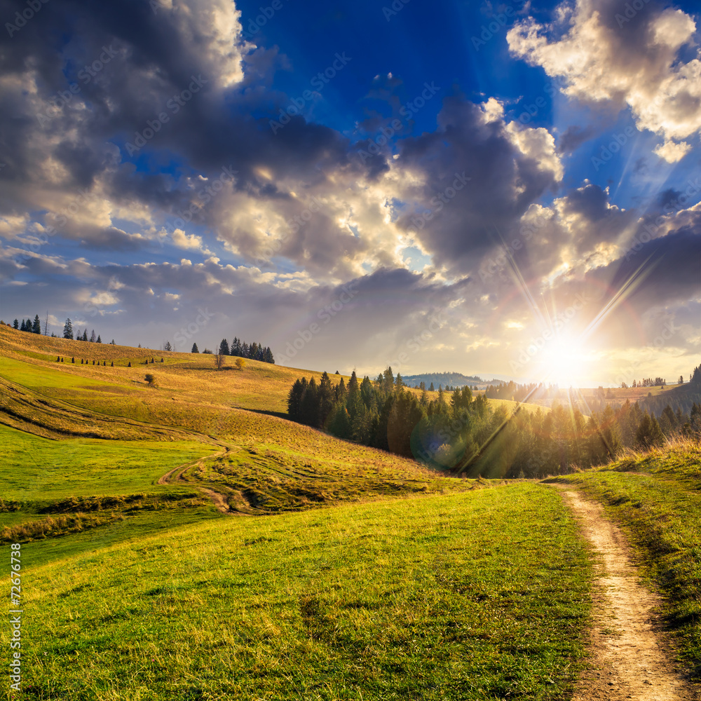 Obraz premium pine trees in mountains at sunset