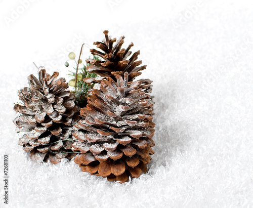 Snow Pine Cones