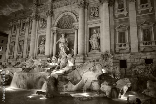 fontana de trevi blanco y negro