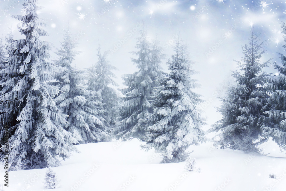 Christmas background with snowy fir trees Christmas background with snowy fir trees