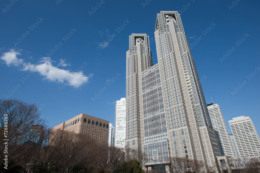 Obraz premium 東京都第一本庁舎