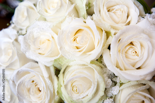 white and wet roses