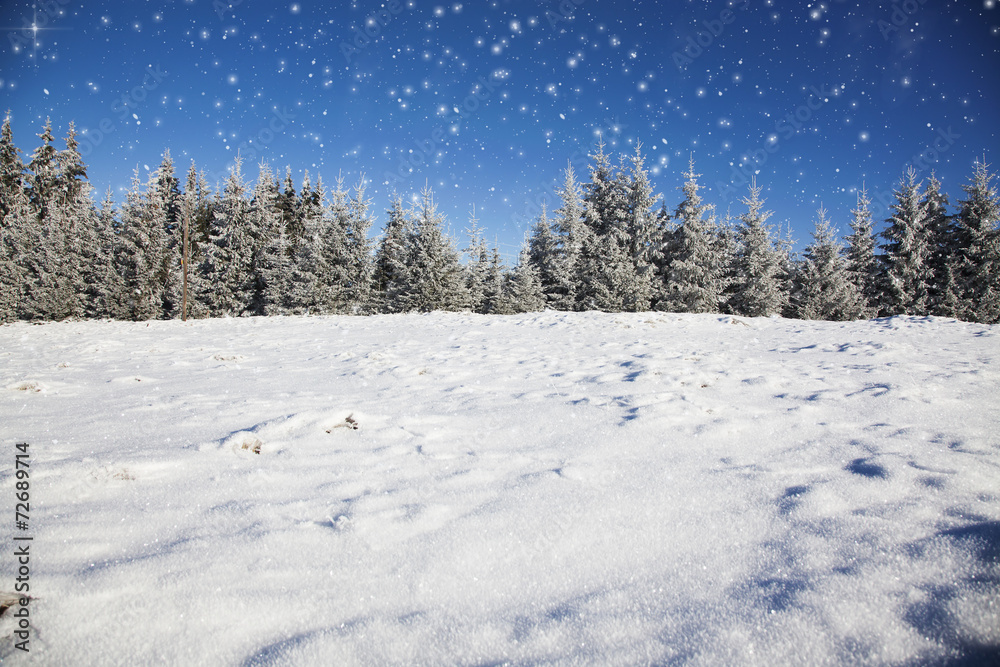 Fototapeta premium Christmas background with snowy fir trees