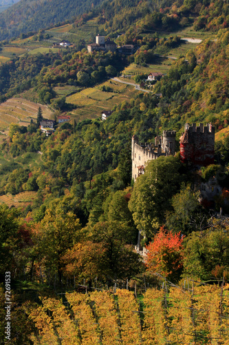 Castel Tirolo e Thurnstein photo