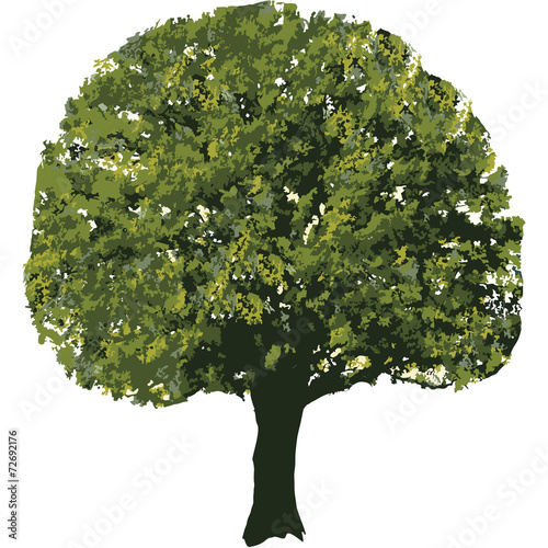 Baum Holz Bau