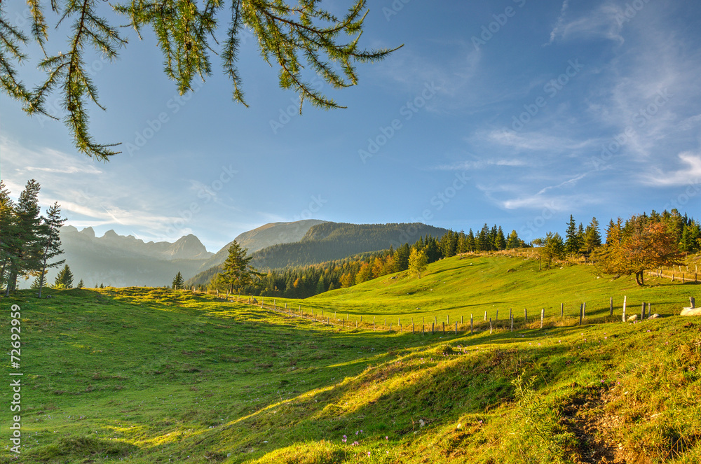 Alpine Meadow Planina Uskovnica in Bohinj