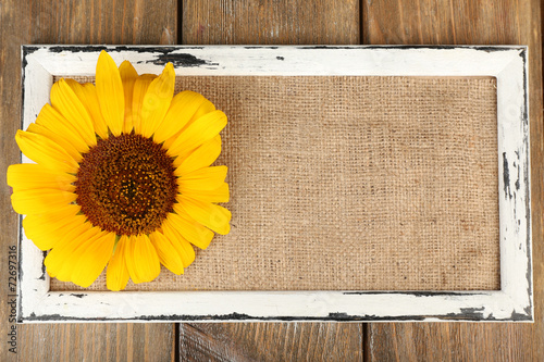 Fototapeta Naklejka Na Ścianę i Meble -  Beautiful sunflower on frame on wooden background
