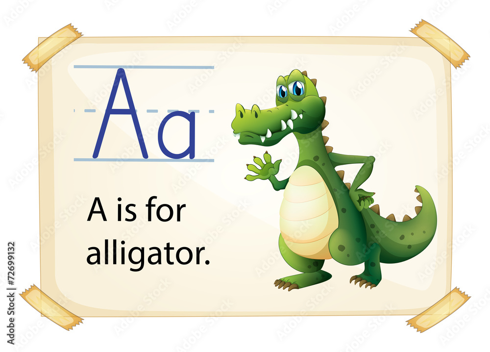Naklejka premium Alligator flashcard