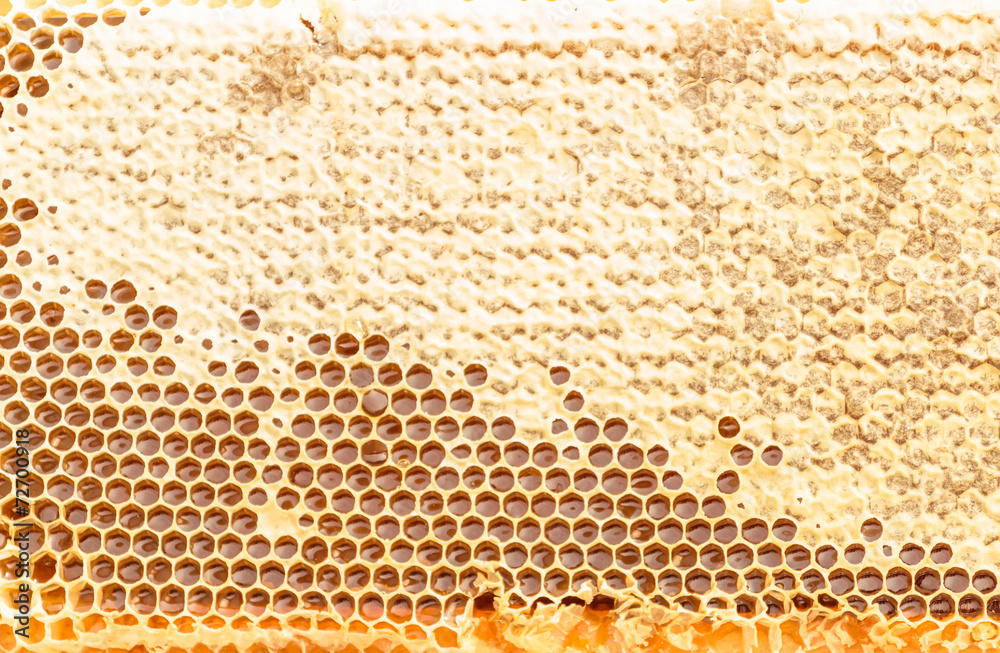 Fresh honeycomb textured background Fresh honeycomb textured background