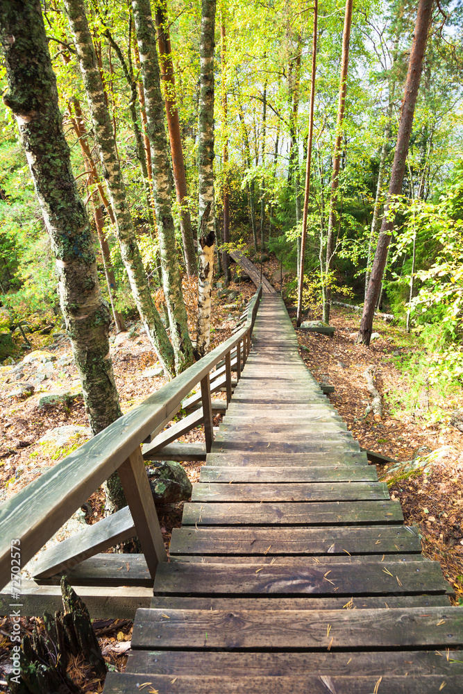 Obraz premium Wooden stairs in forest