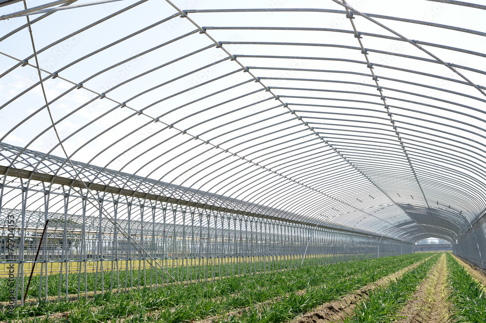 Naklejka premium ビニールハウス