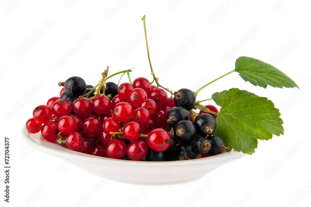 currant