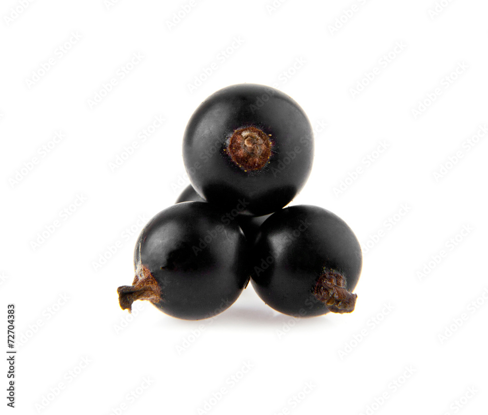 currant currant