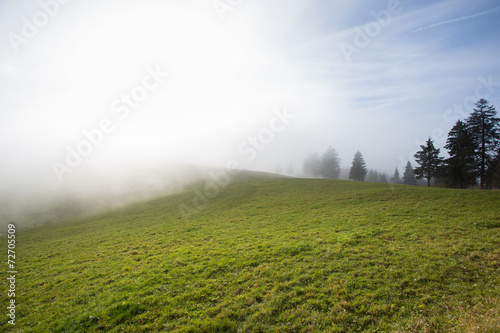 foggy landscape in the black forest, Germany
