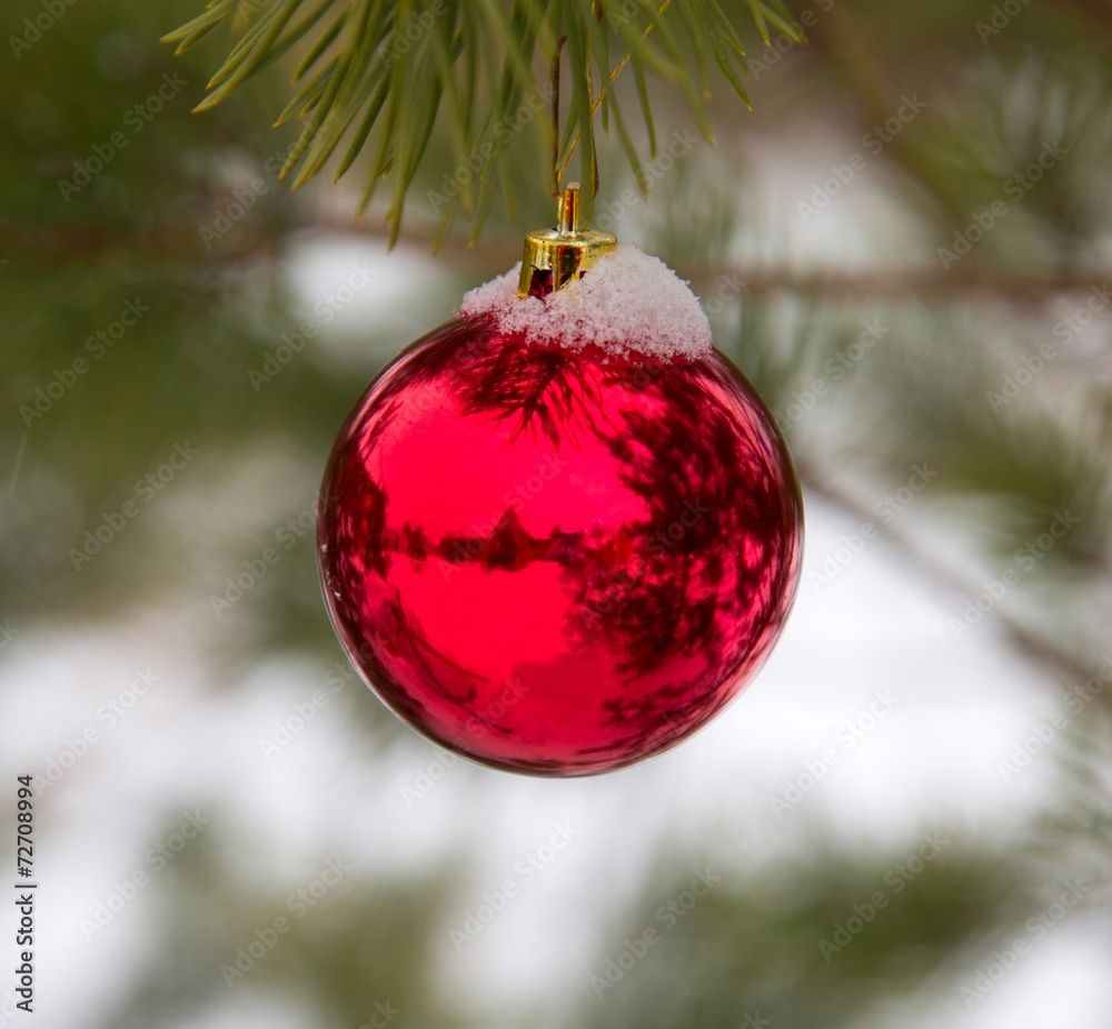 baubles hanging on a christmas tree covered with snow baubles hanging on a christmas tree covered with snow