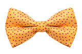 Funky polka dotted bow tie isolated on white background
