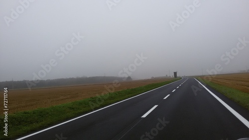 Nebbia photo