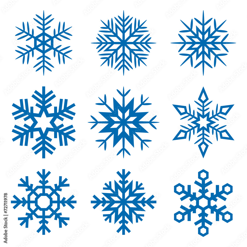 Snowflakes - obrazy, fototapety, plakaty 