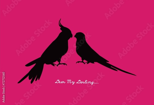 dearmybird