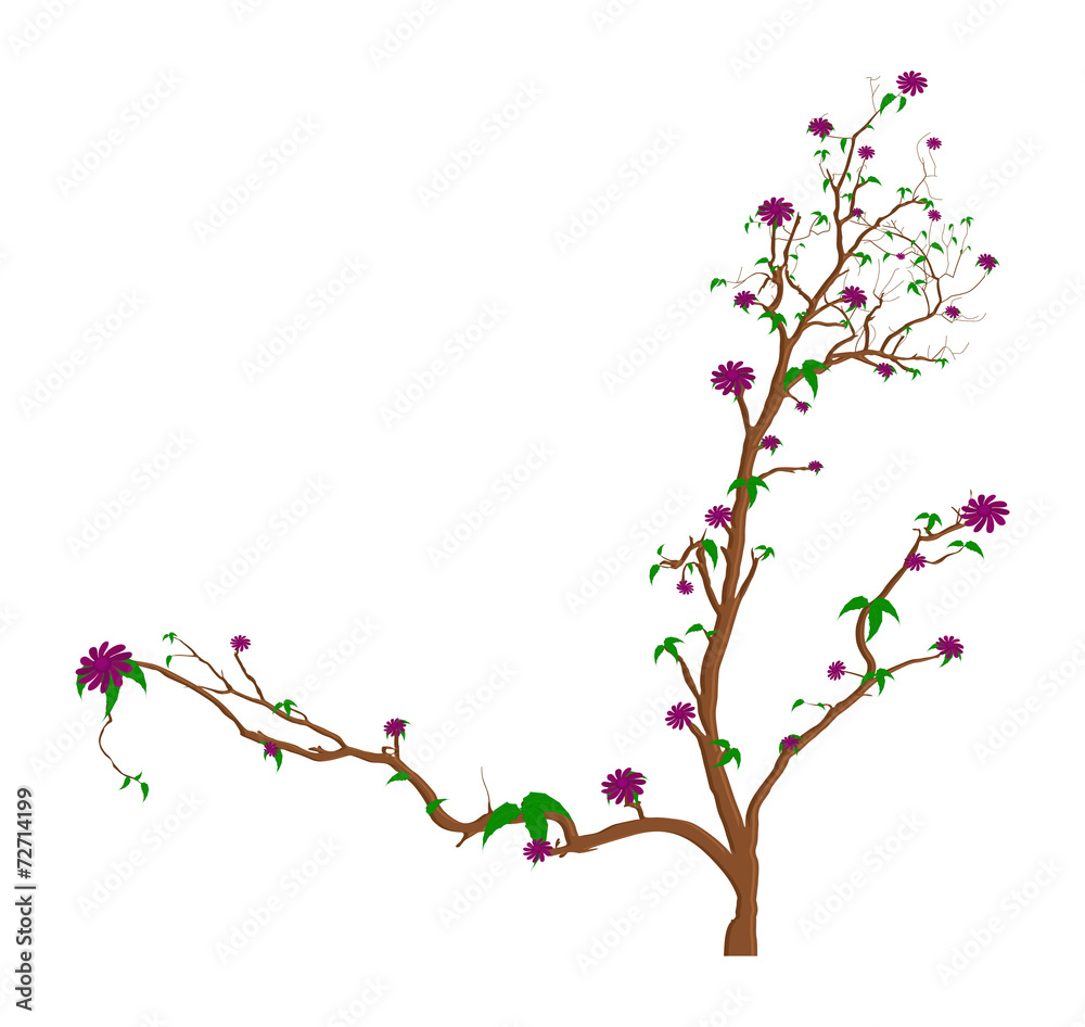 Dead Tree Flowers Branches Dead Tree Flowers Branches