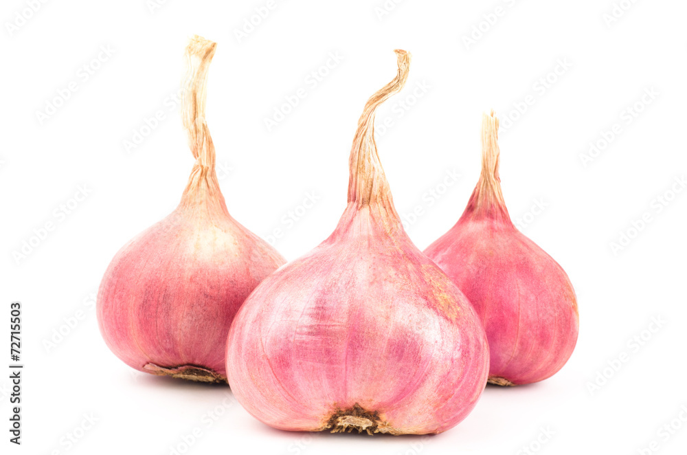 Fototapeta premium Fresh shallot