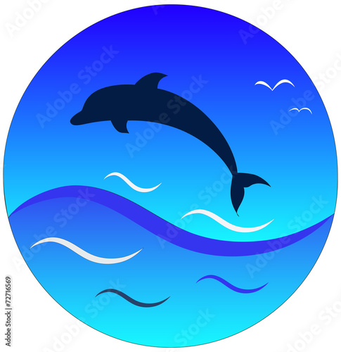 dolphin and bird