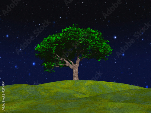 Tree.Elements of this image furnished by NASA. © rommma