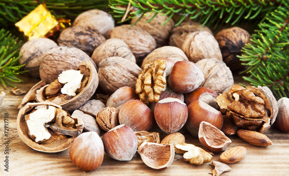 Walnuts and Hazelnuts Walnuts and Hazelnuts