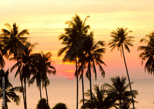 Fiery Backdrop Sunset Divine