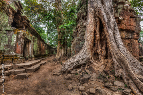 Ancient ruins and tree roots  Ta Prohm temple  Angkor  Cambodia