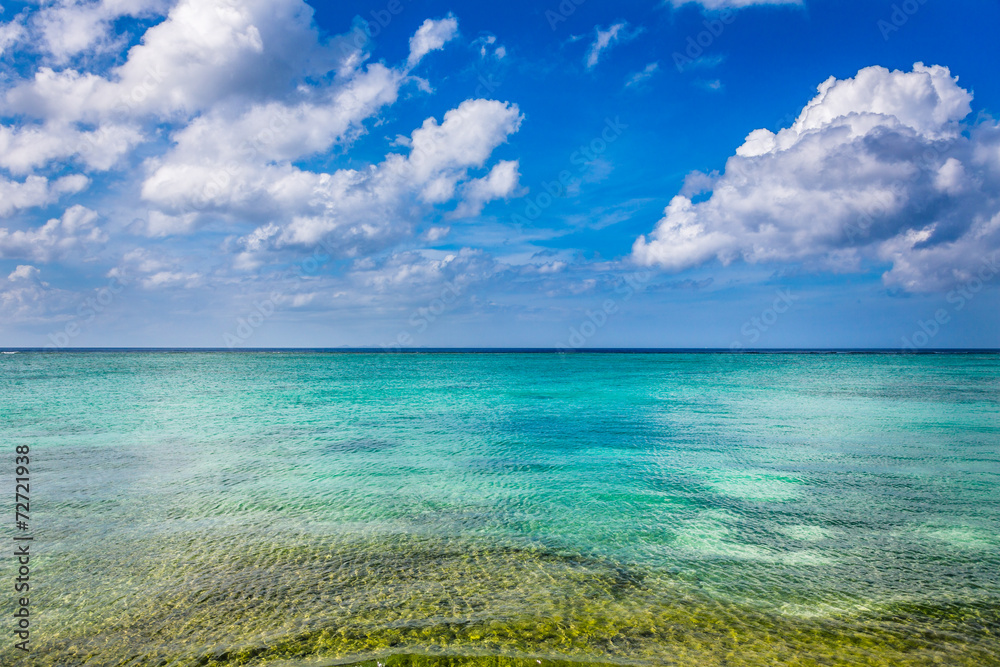 沖縄自然のビーチ